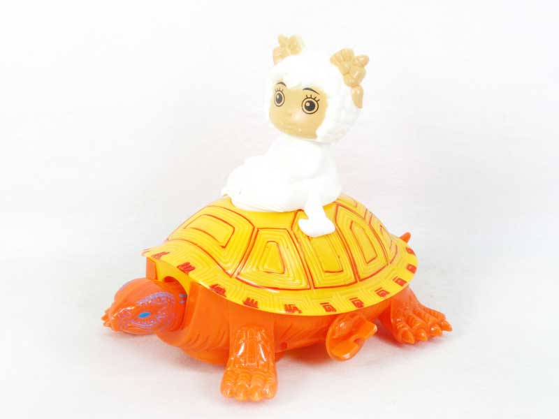 Wind-up Tortoise toys