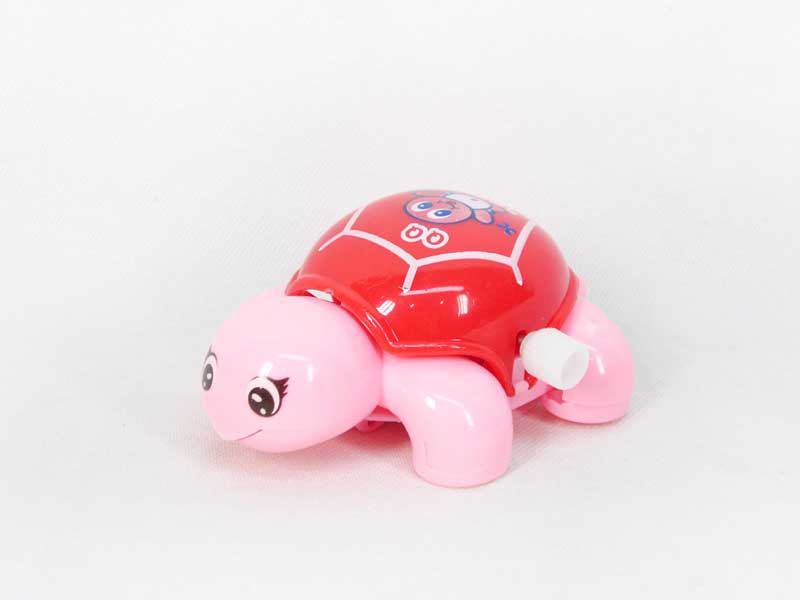 Wind-up Tortoise toys