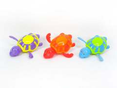 Wind-up Tortoise(3C)