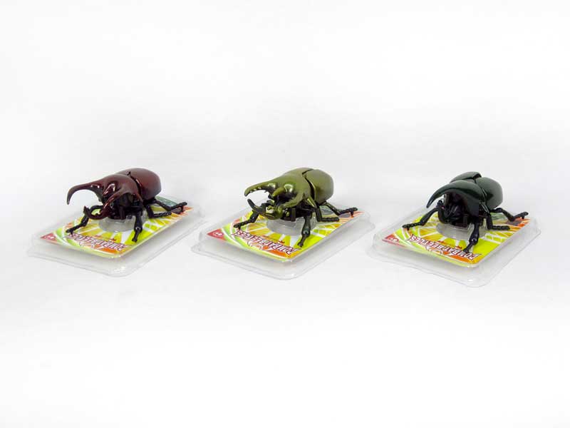 Wind-up Beetle(3S) toys