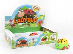 Wind-up Ladybird Beetle(6in1)