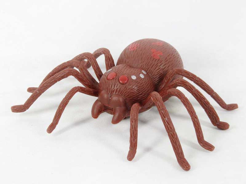Wind-up Spider(2C) toys