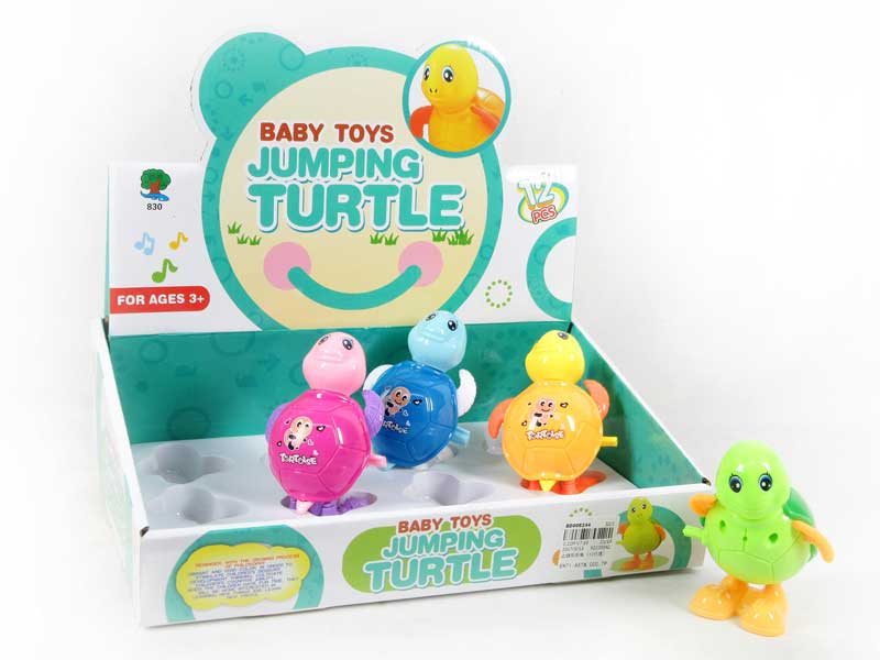 Wind-up Tortoise（12in1） toys