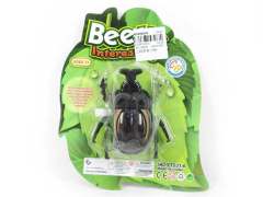 Wind-up Beetle(2C)