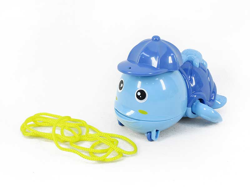 Wind-up Tortoise(2C) toys