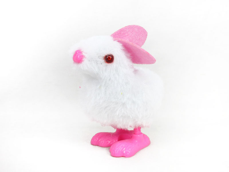 Wind-up Rabbit toys