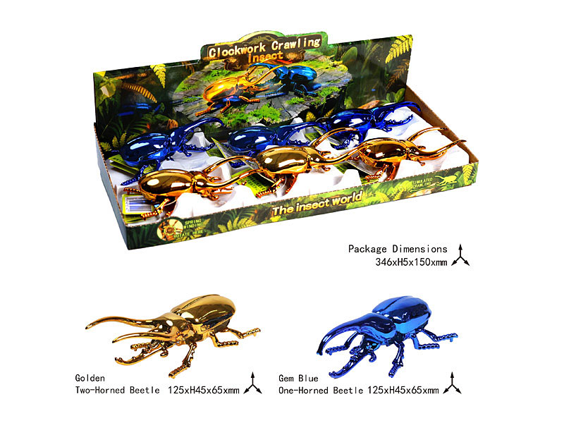 Wind-up Beetle(6in1) toys