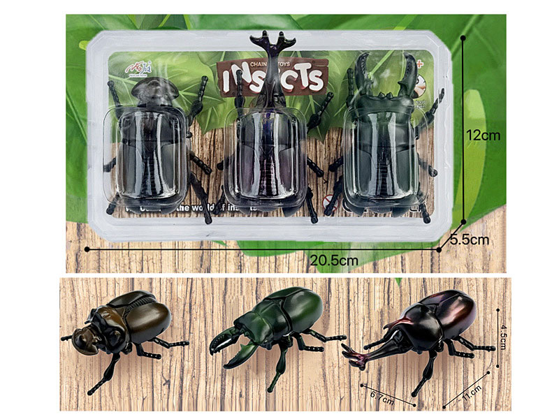 Wind-up Beetle(3in1) toys