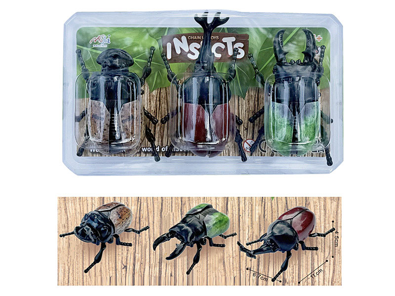 Wind-up Beetle(3in1) toys