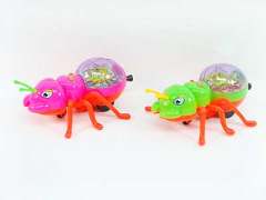 Pull Line Ant W/L(2C) toys