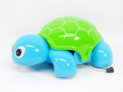 Pull Line Tortoise(2C) toys