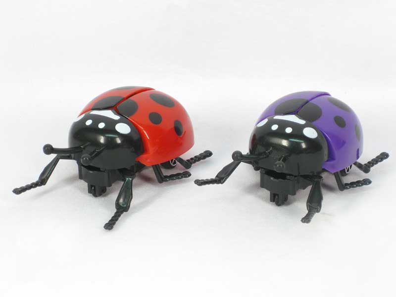 Pull Line Ladybug(2C) toys