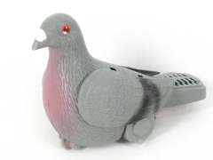 Pull Line Pigeon