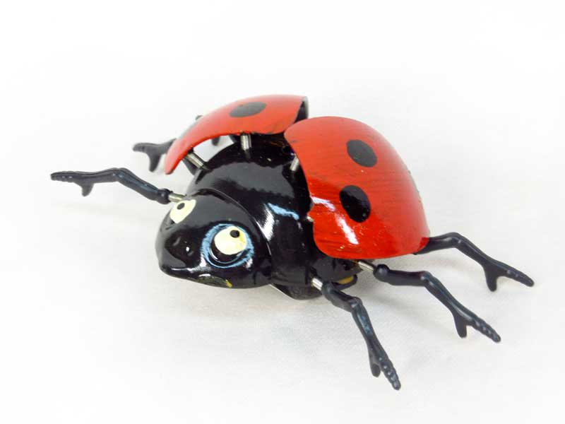 Pull Line Ladybug toys