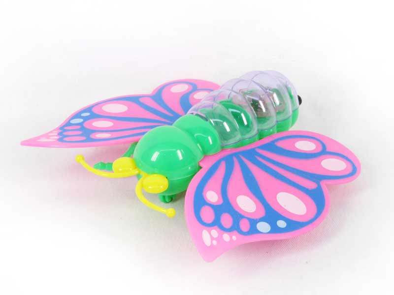 Pull Line Insects W/L(3C) toys