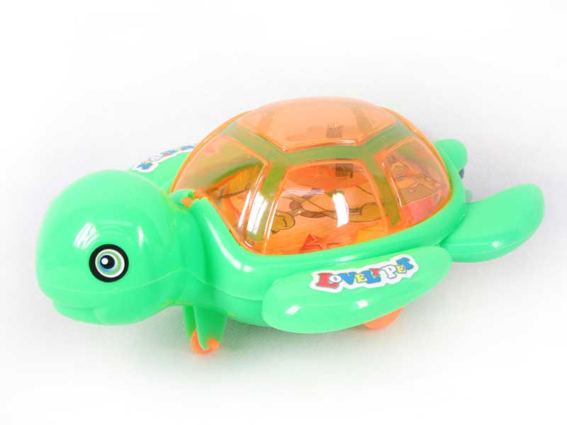Pull Line Tortoise W/L(3C) toys