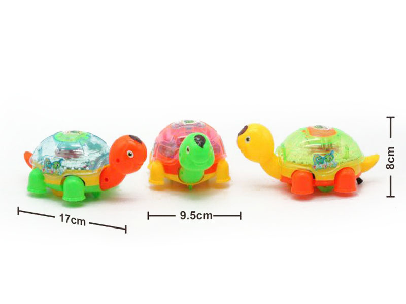 Pull Line Tortoise W/L_Snowflake(3C) toys