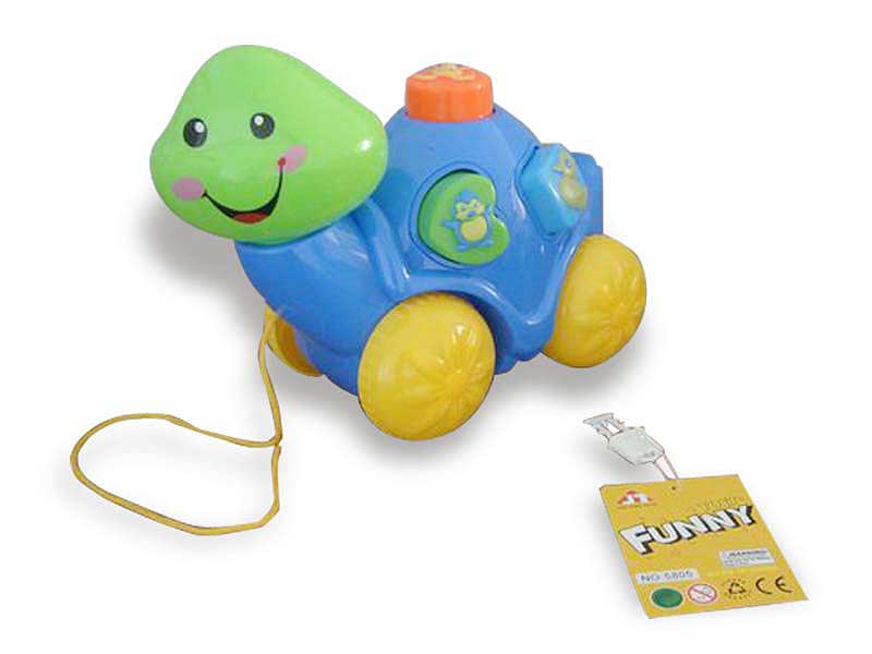 Shape Turtle toys