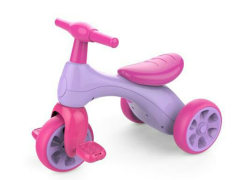 Free Wheel Tricycle W/S(2C)