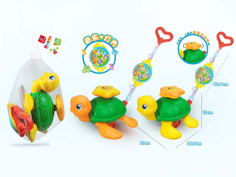 Push Tortoise W/L_M toys