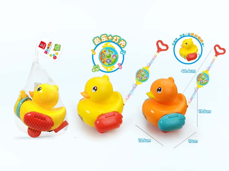 Push Duck W/L_M toys