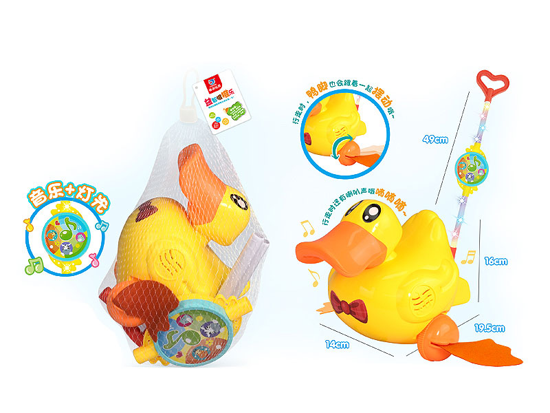 Push Duck W/L_M toys