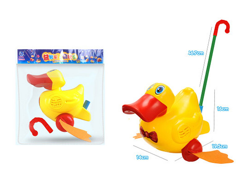 Push Duck toys