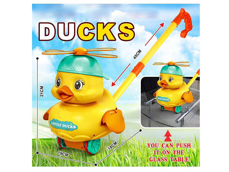 Push Duck toys