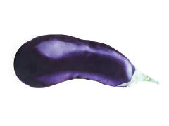 Electric Touch Jumping Eggplant