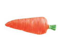Electric Touch Jumping Carrot