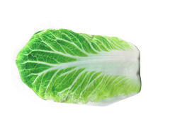 Electric Touch Jumping Cabbage