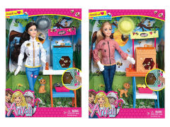 11.5inch Solid Body Doll Set(2S) toys