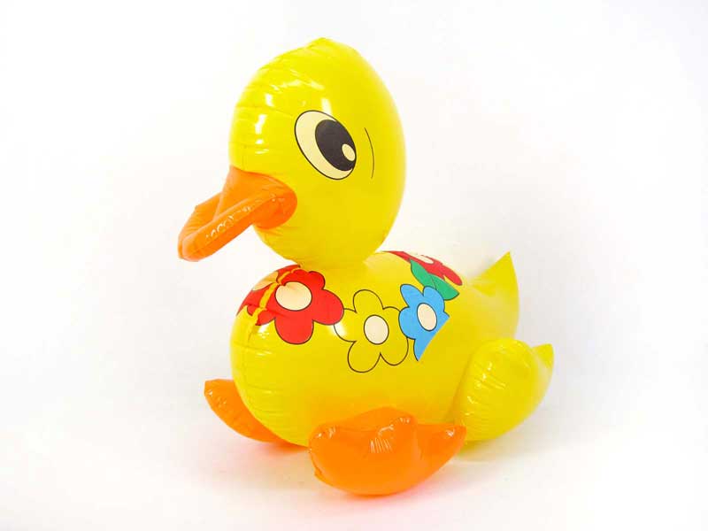 Duck toys