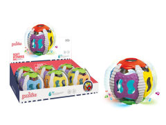 Fitness Ball W/L_M(6in1) toys