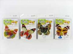 Magnetic Butterfly(4S) toys
