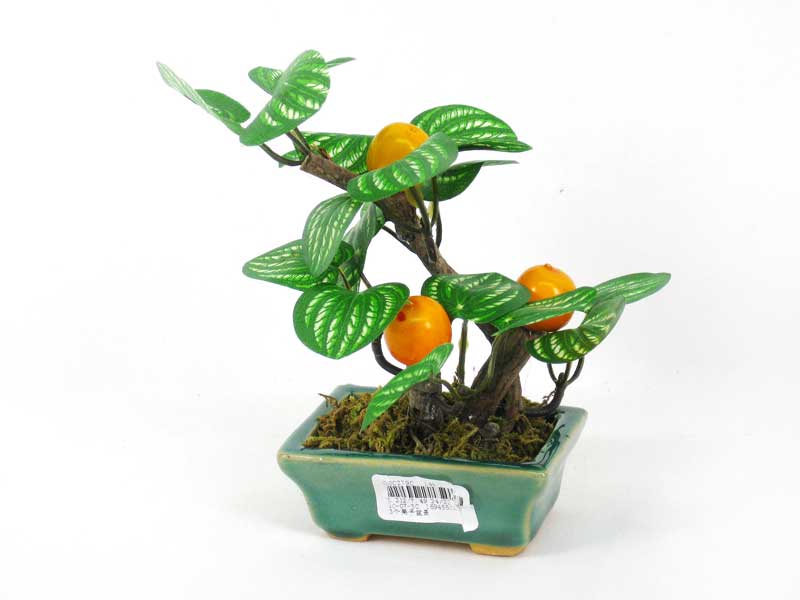 Bonsai toys