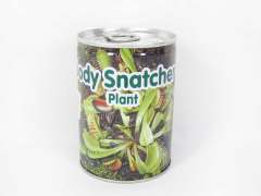 Body Snatcher Plant