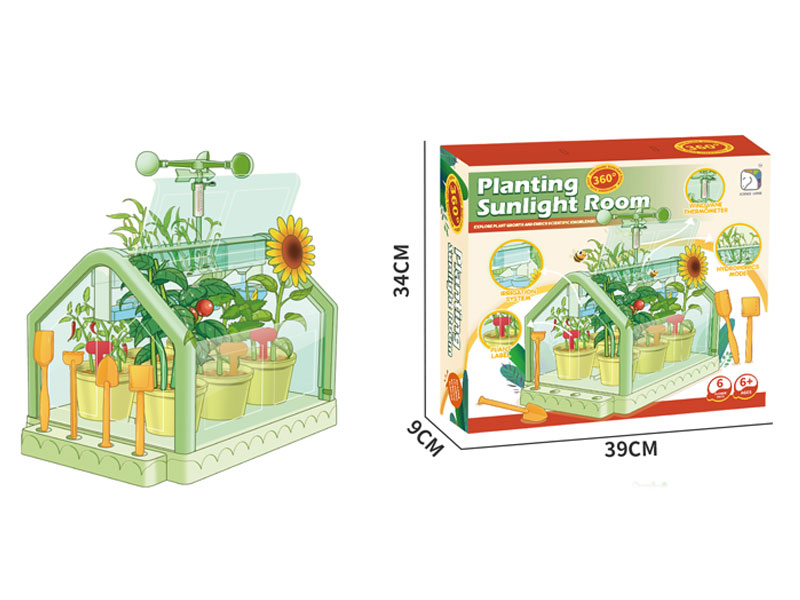 Planting Sunlight Room toys
