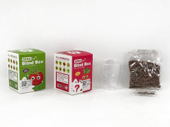 Blind Box Flower Seeds toys