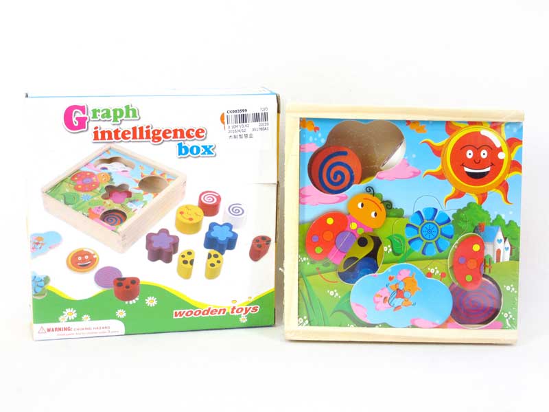 Wooden Intelligence Box toys