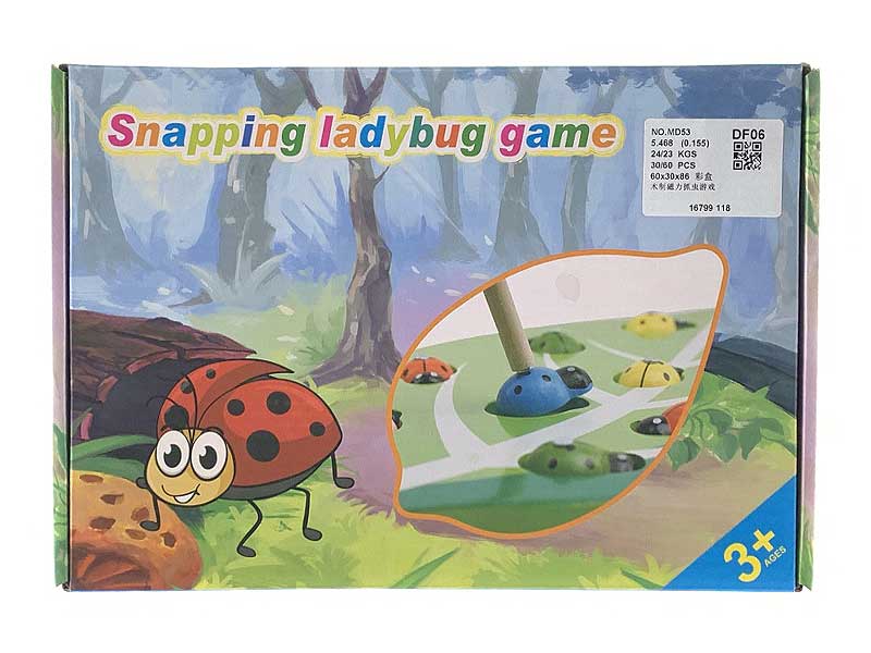 Wooden Magnetic Catch Insects toys