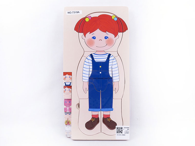 Wooden Girl Multilayer Human Skeleton Organs toys