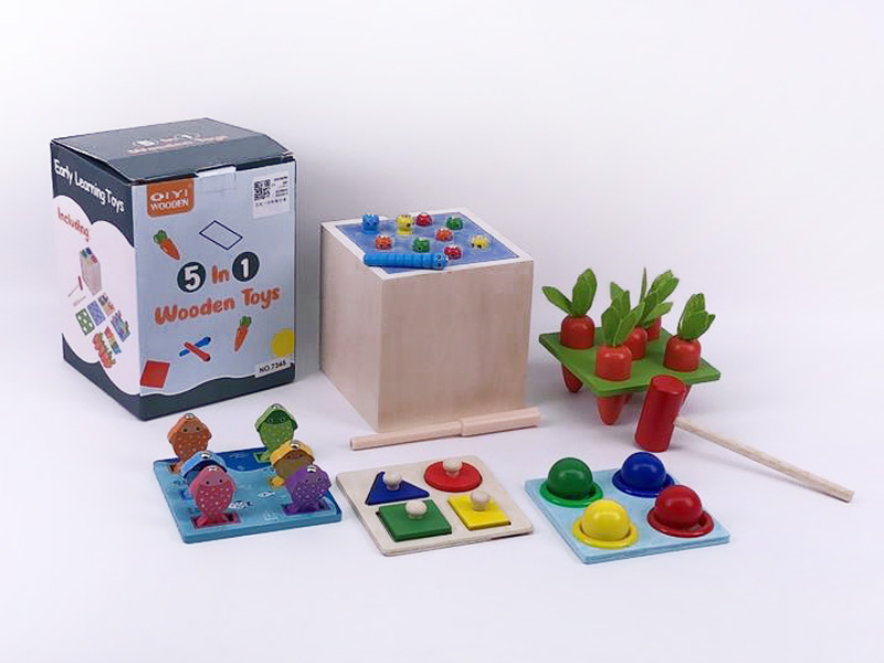 5in1 Wooden Early Learning Toys toys