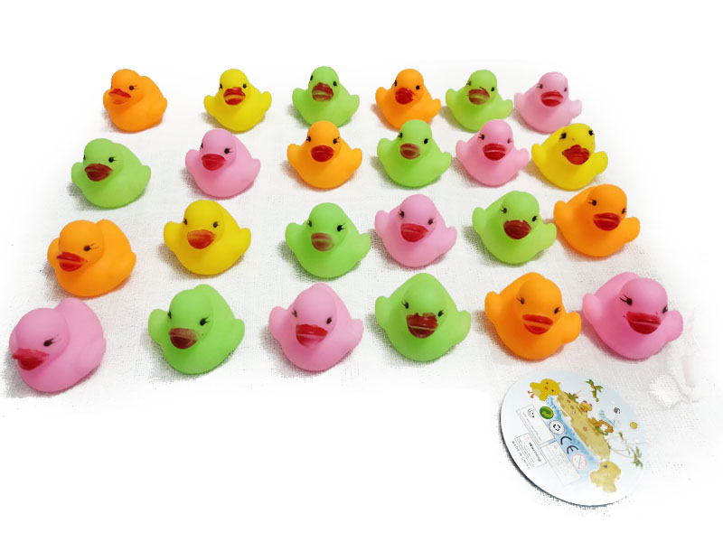 Latex Duck(24in1) toys
