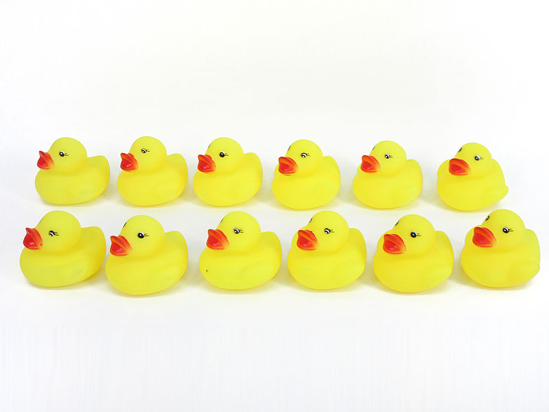 Latex Duck(12in1) toys