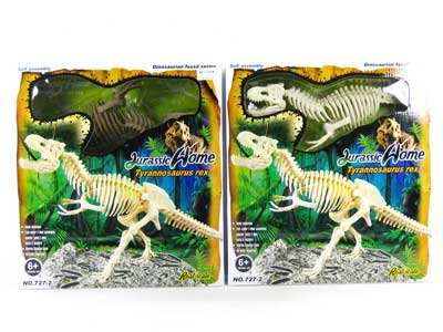Diy Tyrannosaurus Fossil(2C) toys