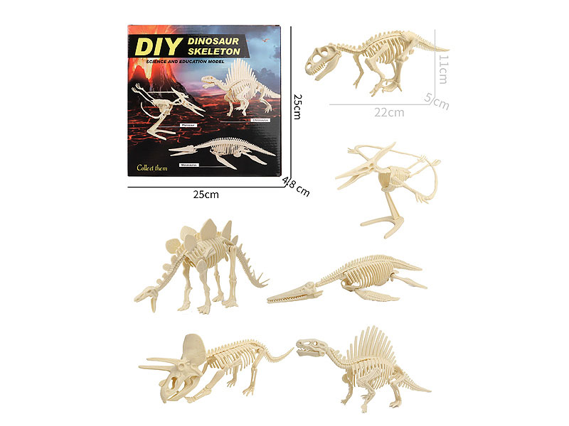 Diy Dino Bone(6PCS) toys