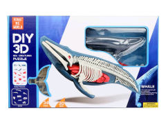 自装3D鲸鱼