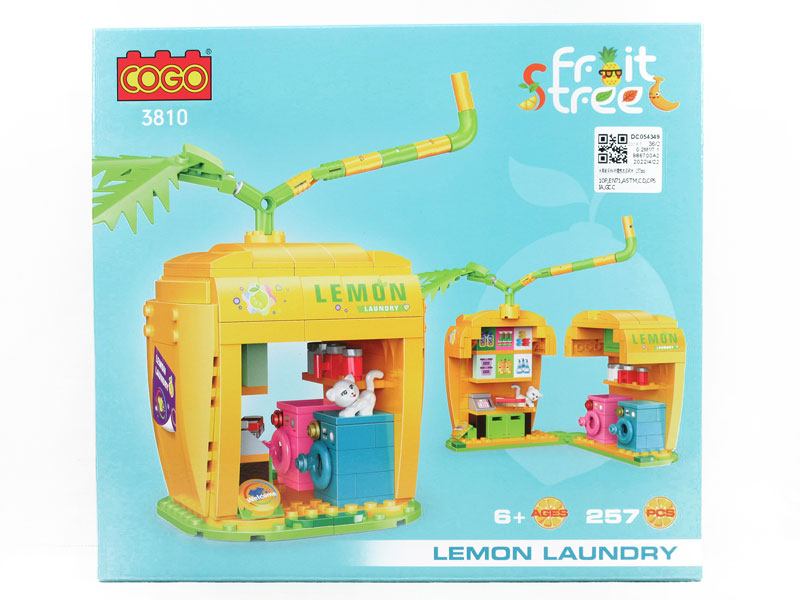 Block(257PCS) toys