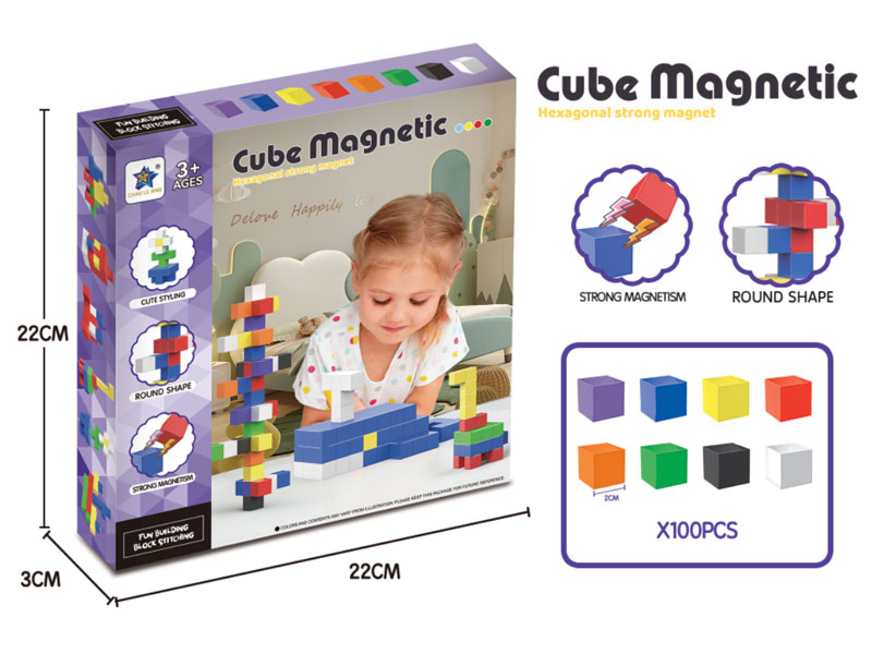 Magnetism Block(100PCS) toys